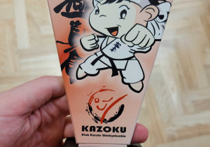 nagroda w karate