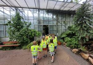 Przedszkolaki z gr. VII w Ogrodzie Botanicznym w Powsinie